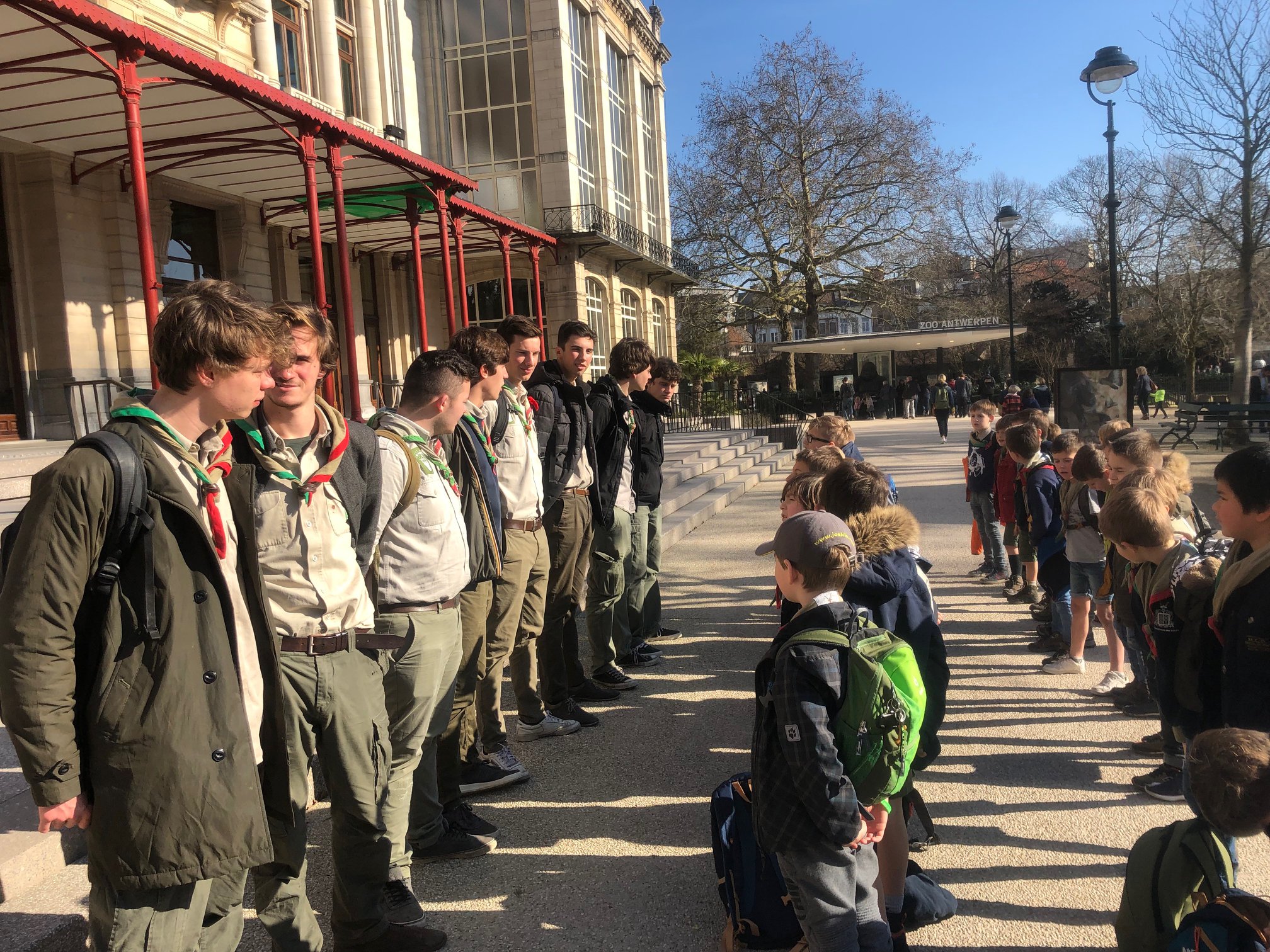 Sint-Martinus den XIIde - Zoo Antwerpen Kapoenen